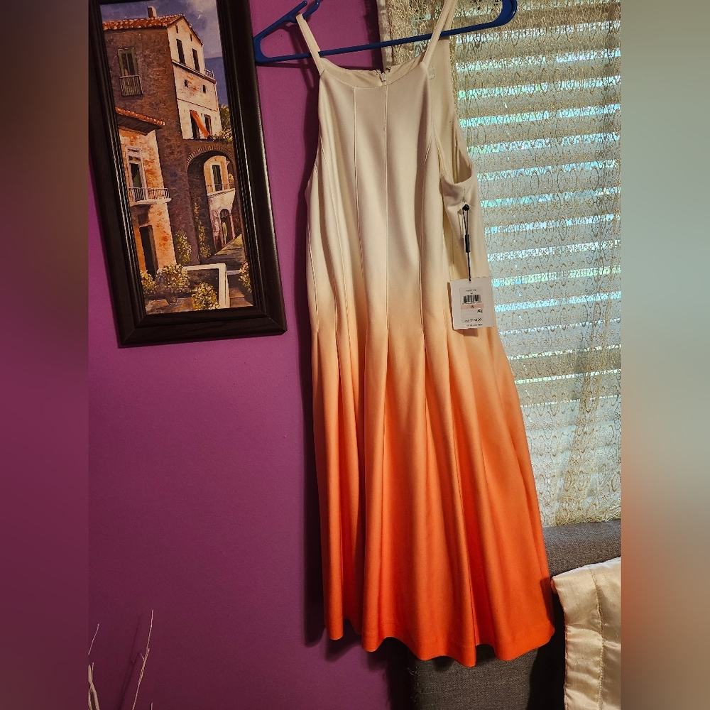Elegant Ombre Orange Dress
